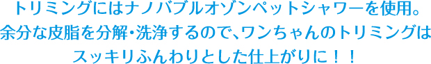 トリミングにはナノバブルオゾンペットシャワーを使用。