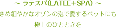 ~ ラテスパ(LATEE+SPA) ~