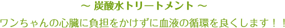 ~ 炭酸水トリートメント ~