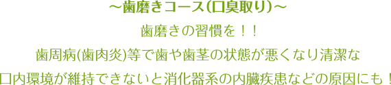 歯磨きコース(口臭取り)