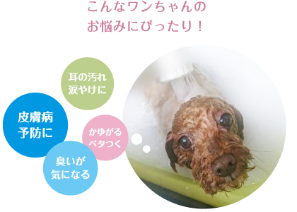 ~ マイクロバブル ~