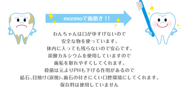 歯磨きコース(口臭取り)