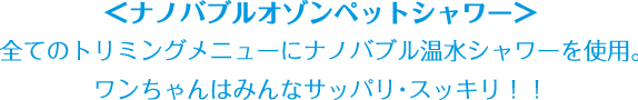 <ナノバブルオゾンペットシャワー>