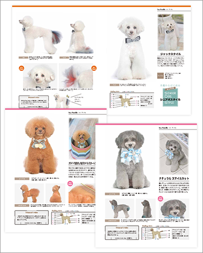 掲載誌(2023年12月)